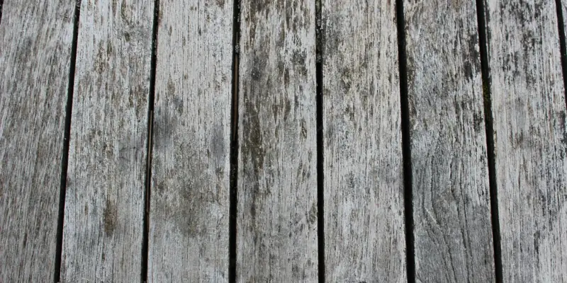 Weathered deck boards that need cleaning