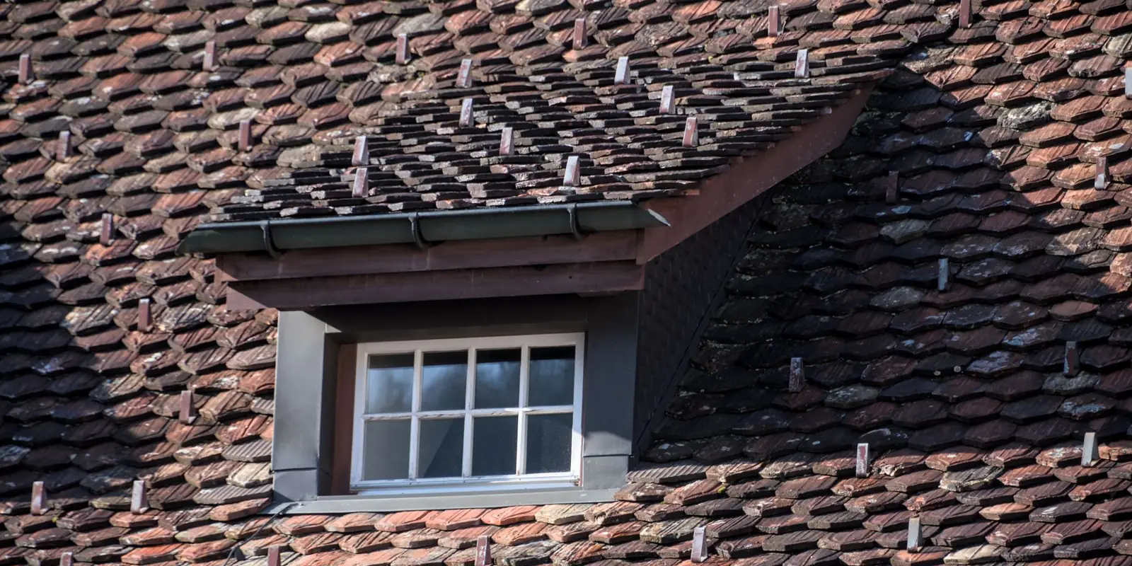 A shingle roof with a dormer window